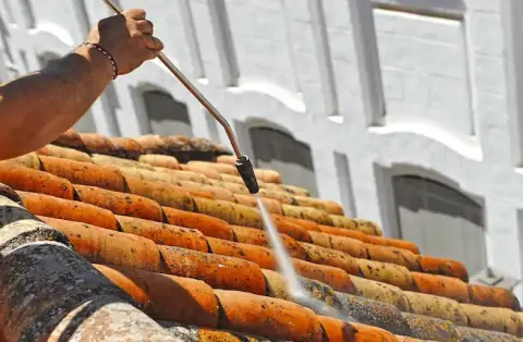 Nettoyage de toitures - Valencin